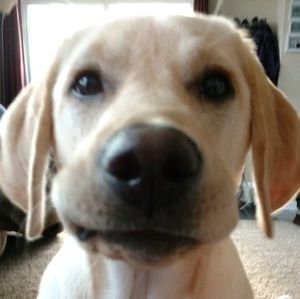 Meet your Posher, Beverly